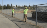 Chain Link Fence Removal 1