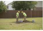 Fence Post Removal 1